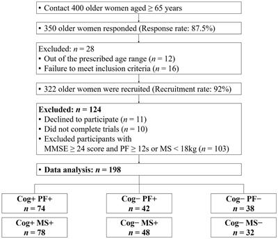 Machine learning approach to classifying declines of physical function and muscle strength associated with cognitive function in older women: gait characteristics based on three speeds